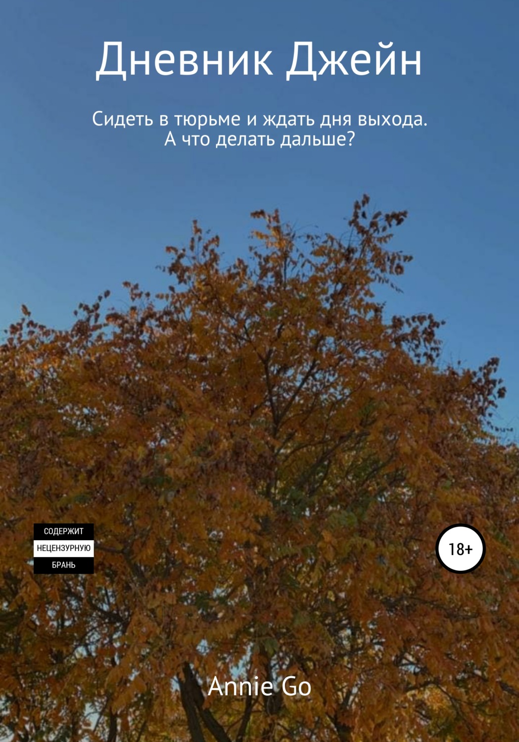 Обложка книги «Дневник Джейн»