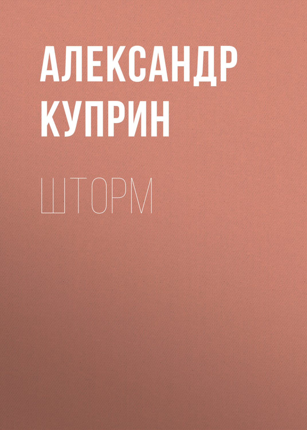 Обложка книги «Шторм»