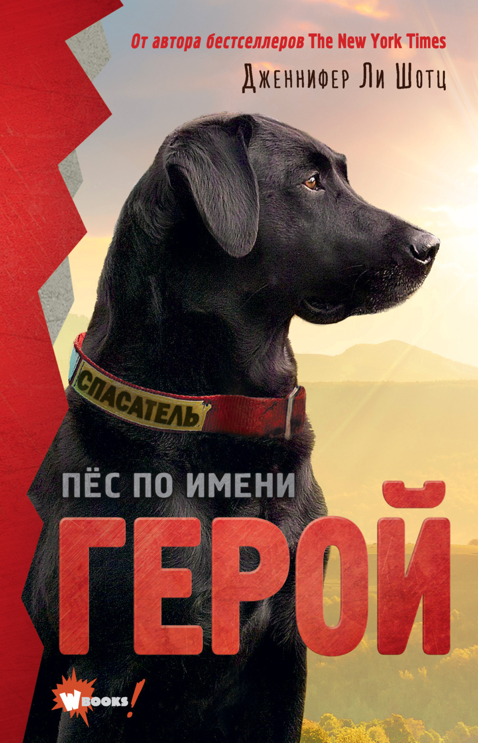 Обложка книги «Пёс по имени Герой»