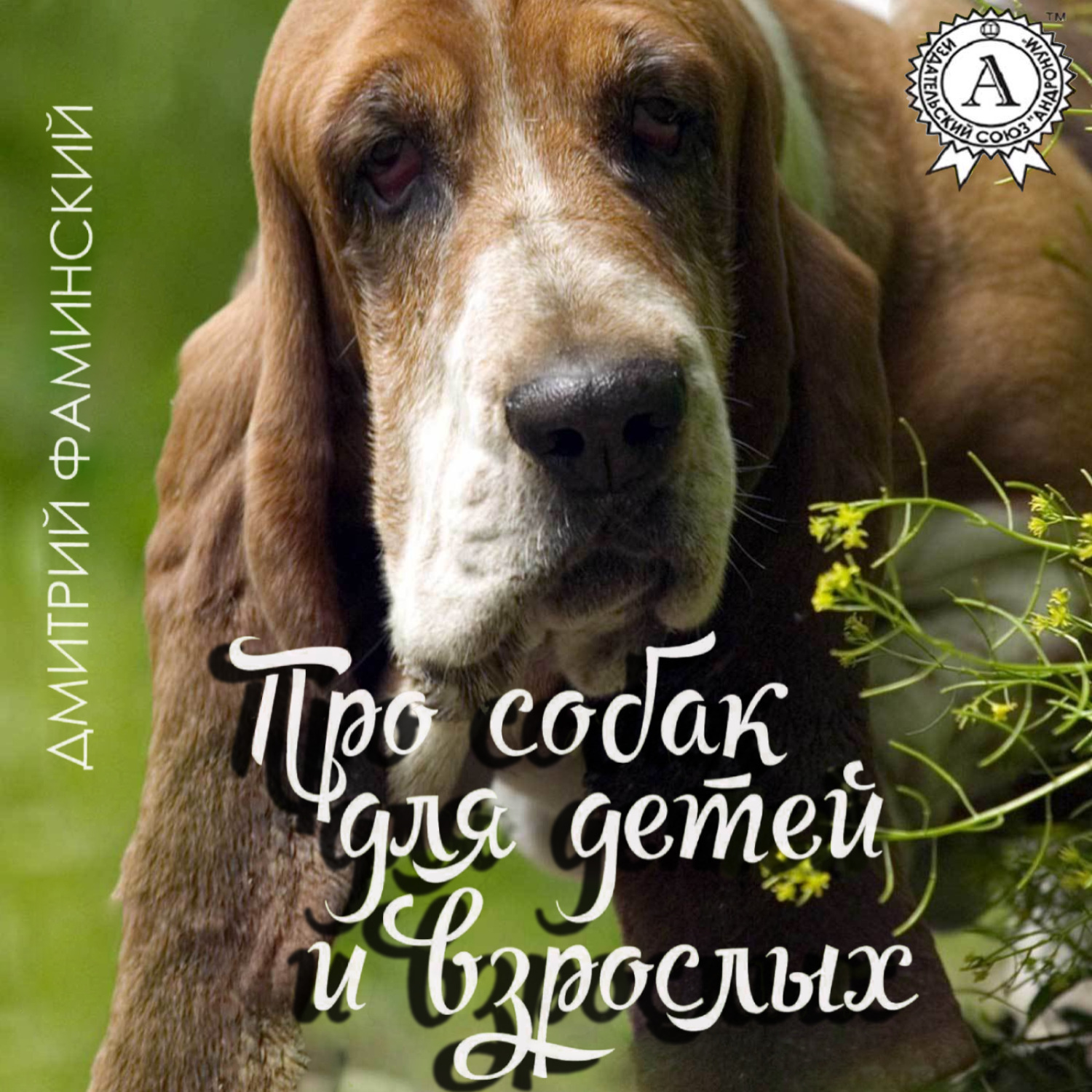 Обложка книги «Про собак для детей и взрослых»