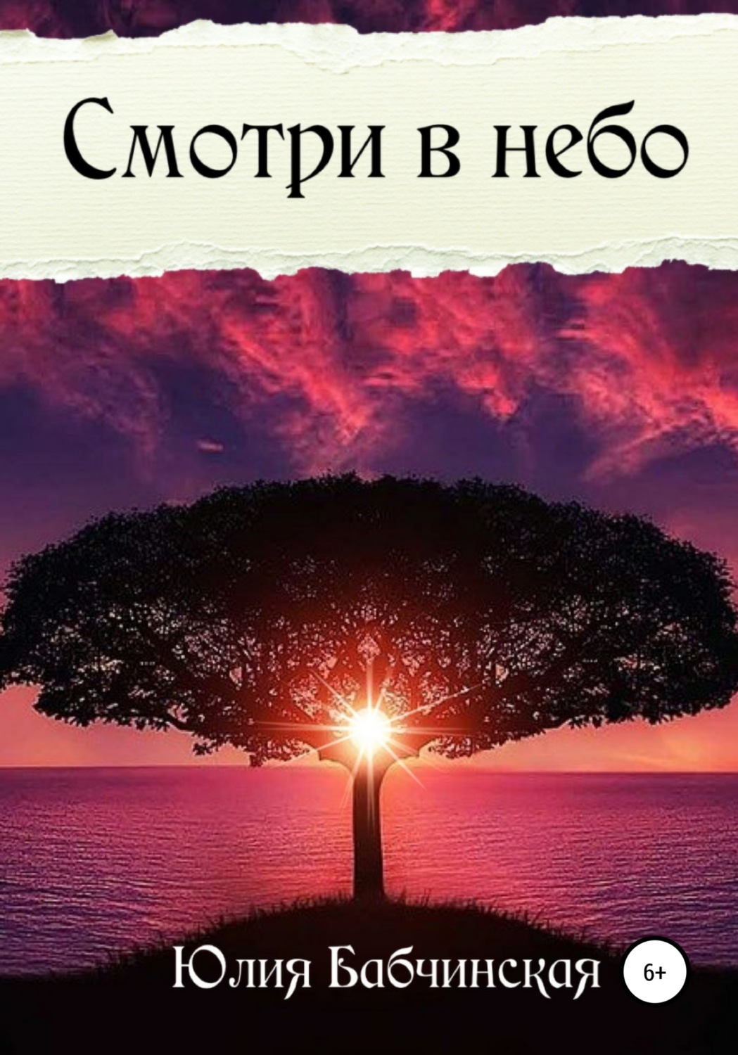 Обложка книги «Смотри в небо»