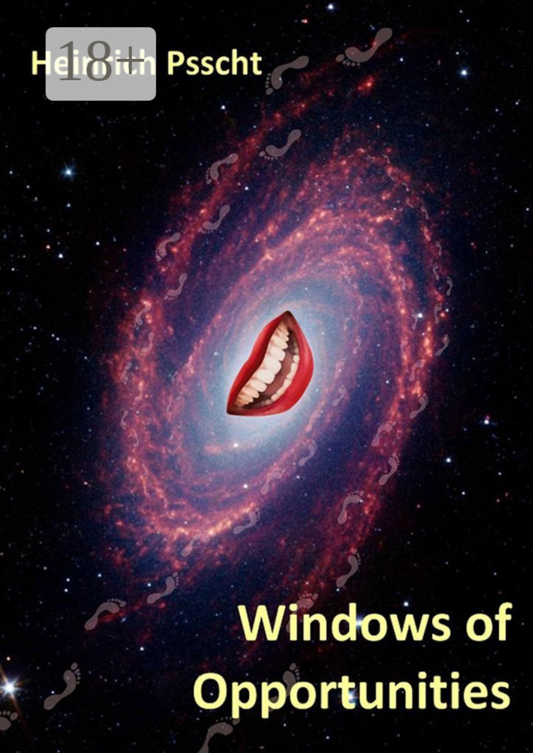 Обложка книги «Windows of Opportunities»