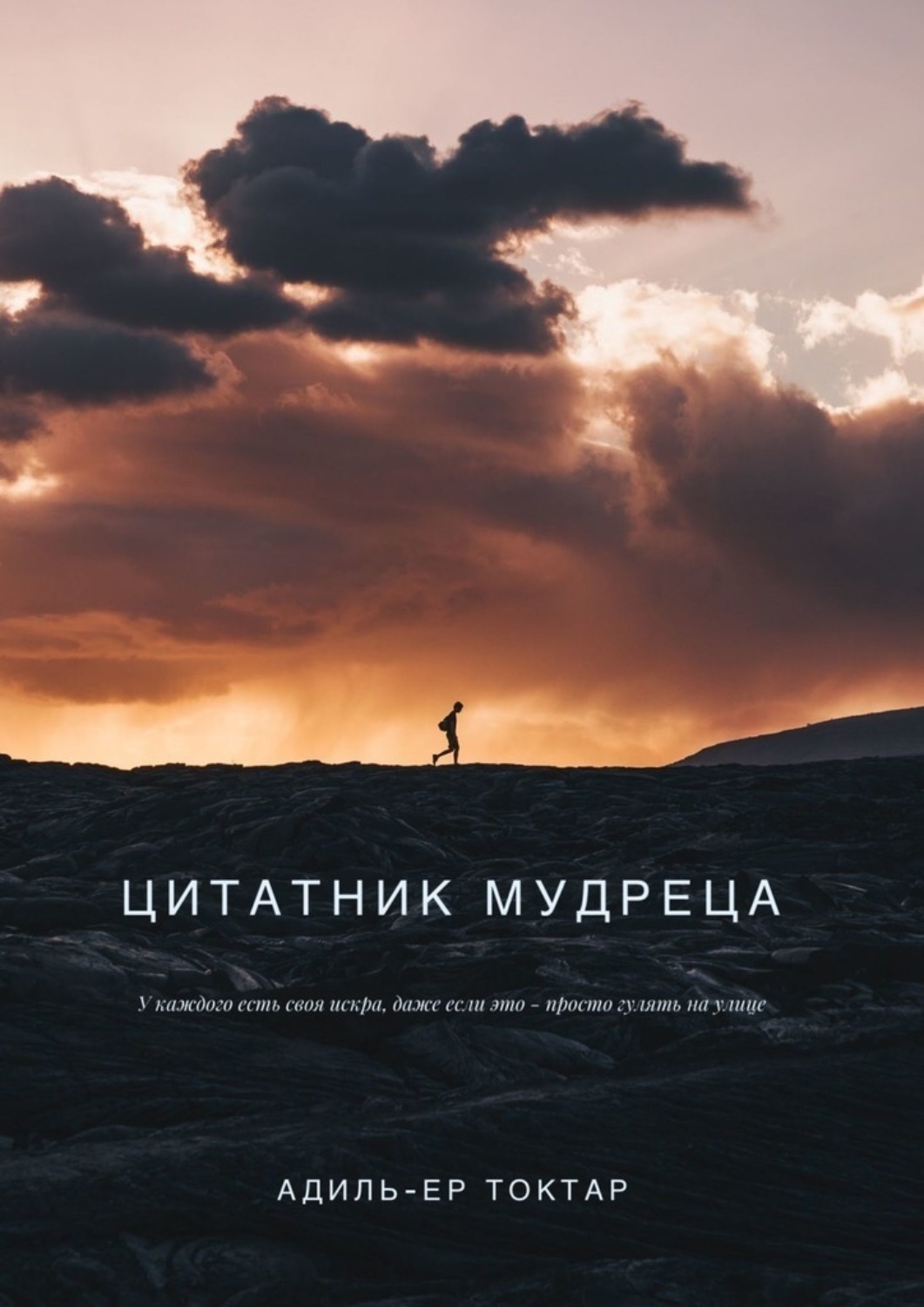 Обложка книги «Цитатник мудреца»