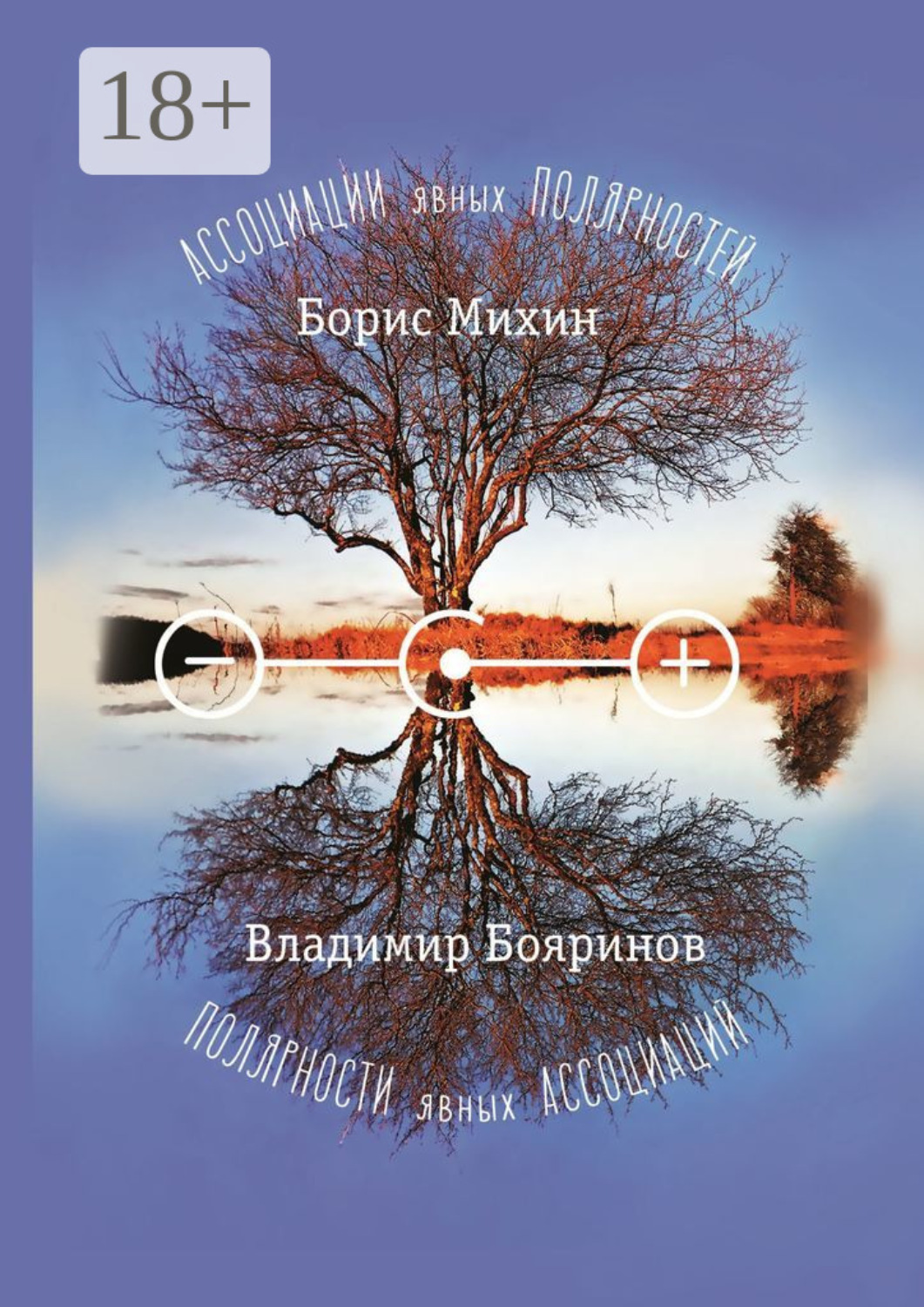 Обложка книги «Ассоциации явных полярностей. Полярности явных ассоциаций»