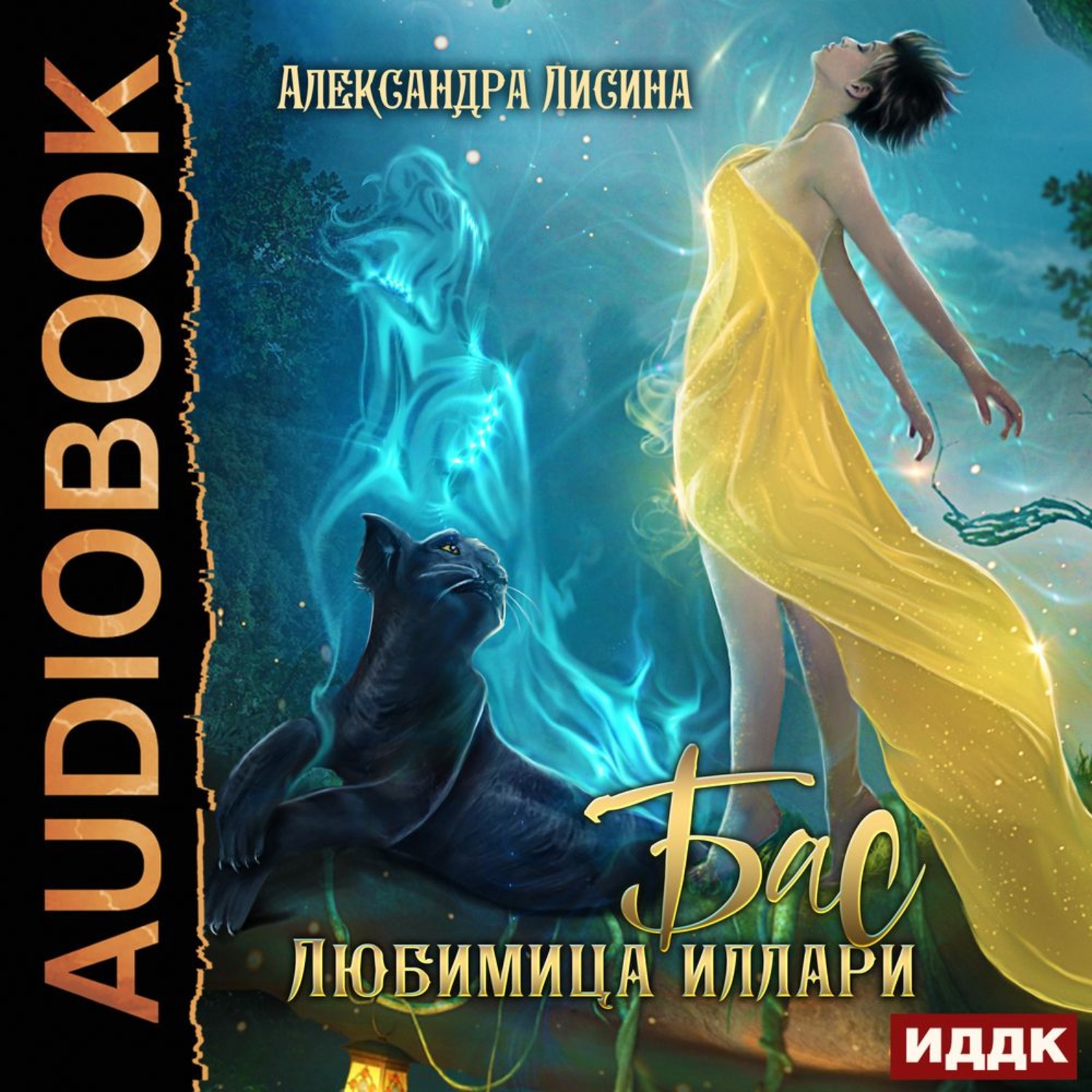 Обложка книги «Бас. Любимица Иллари»