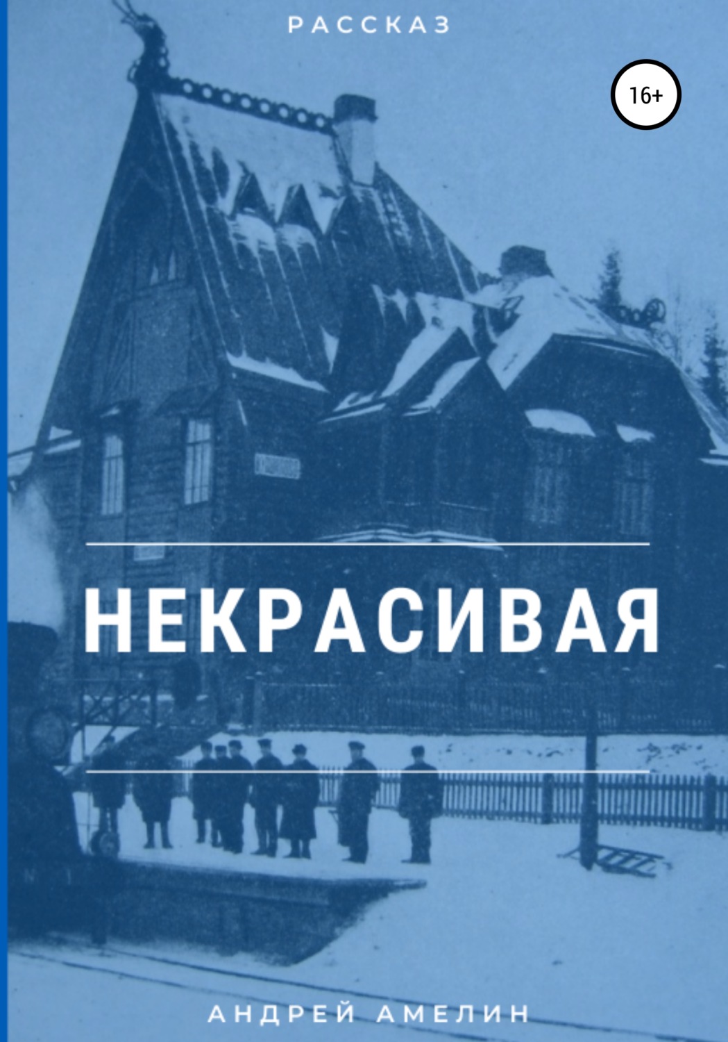 Обложка книги «Некрасивая»