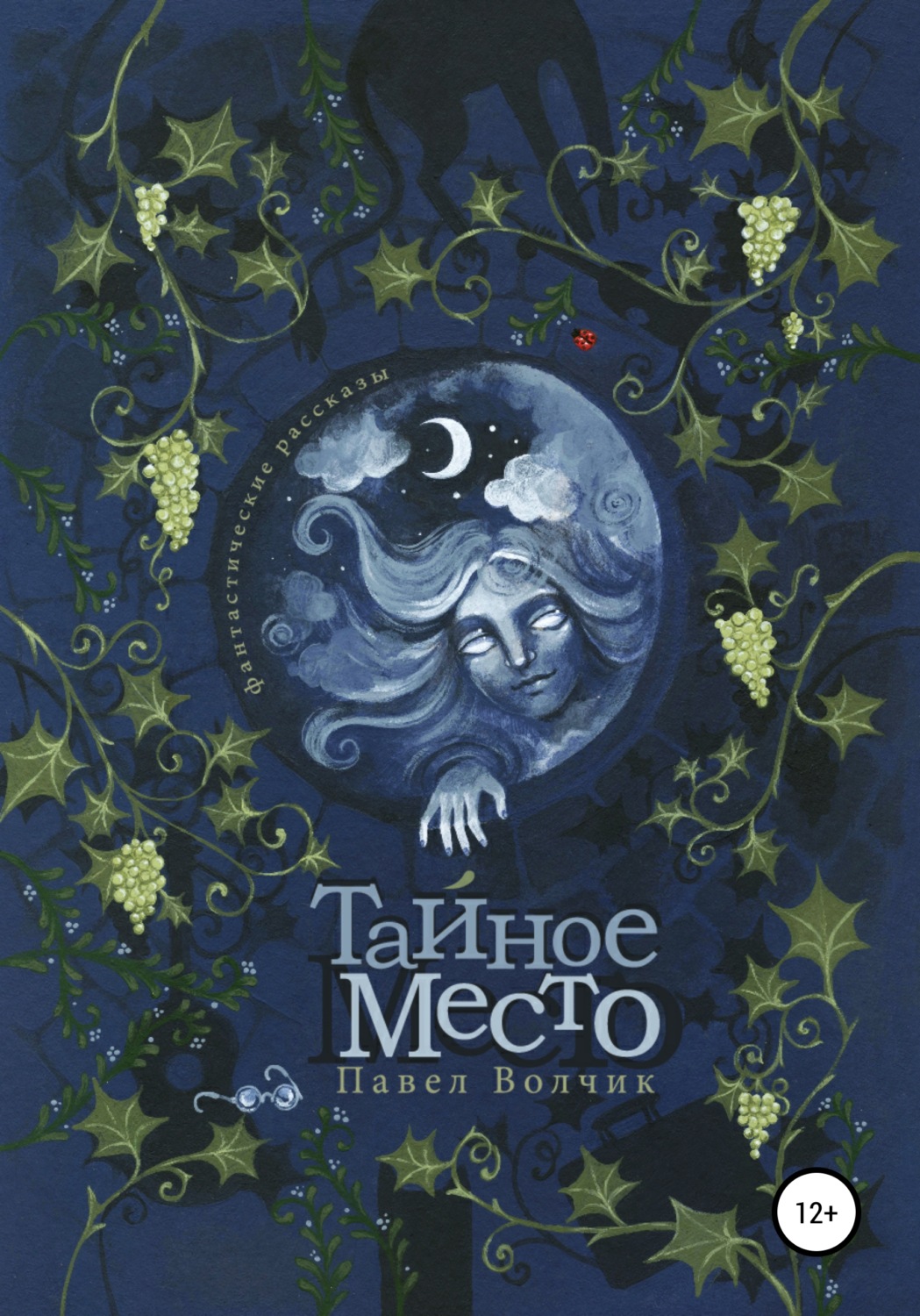 Обложка книги «Тайное Место»