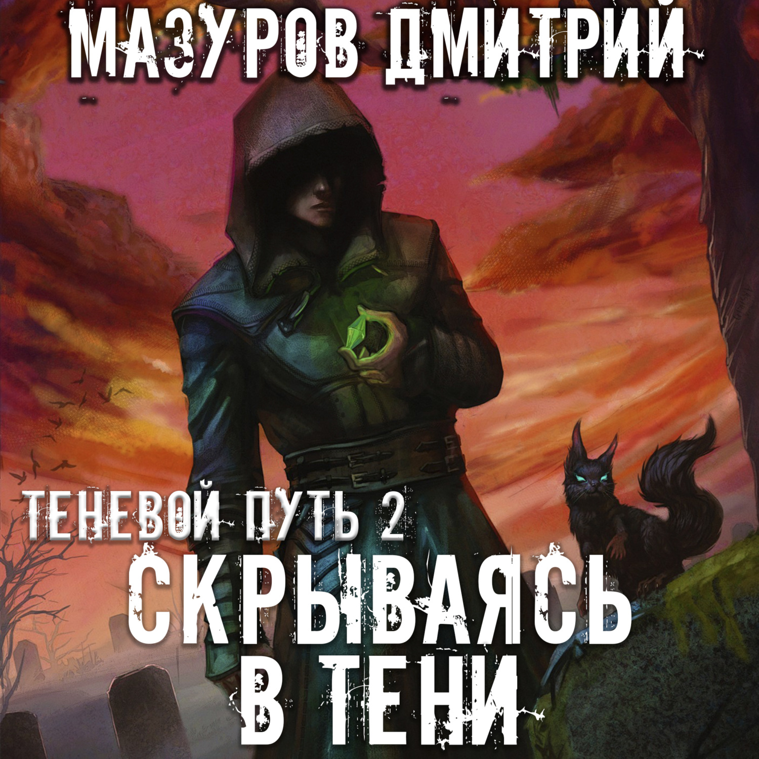 Обложка книги «Скрываясь в тени»
