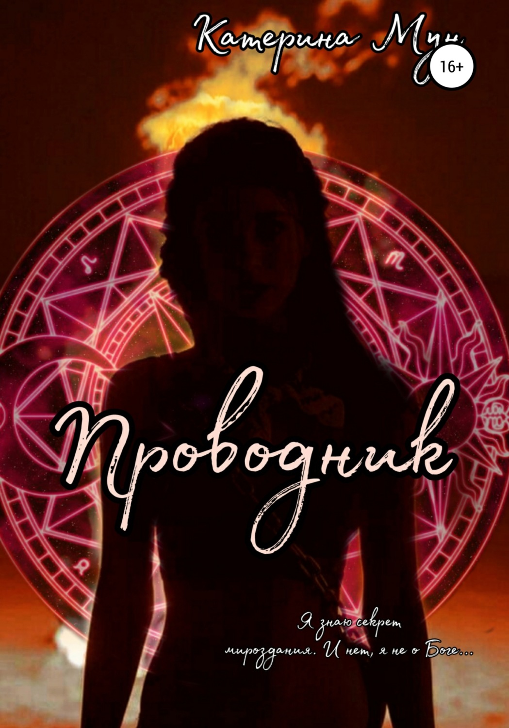 Обложка книги «Проводник»