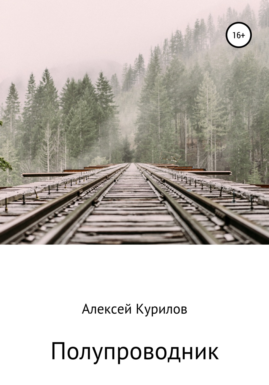 Обложка книги «Полупроводник»