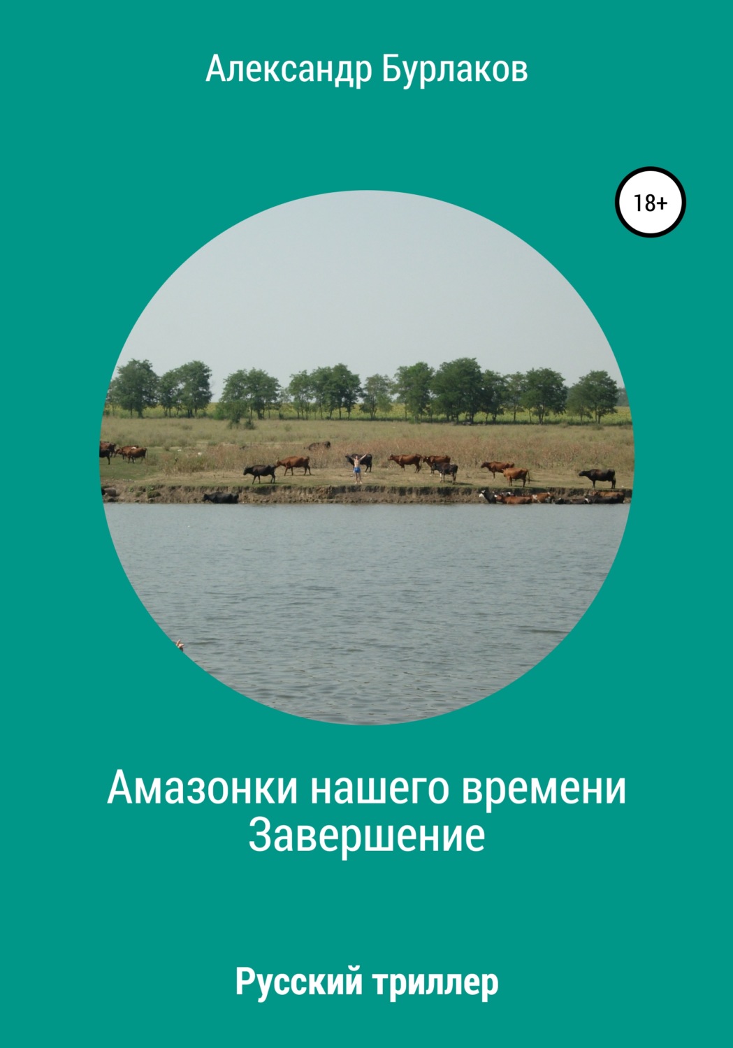 Обложка книги «Амазонки нашего времени. Завершение»