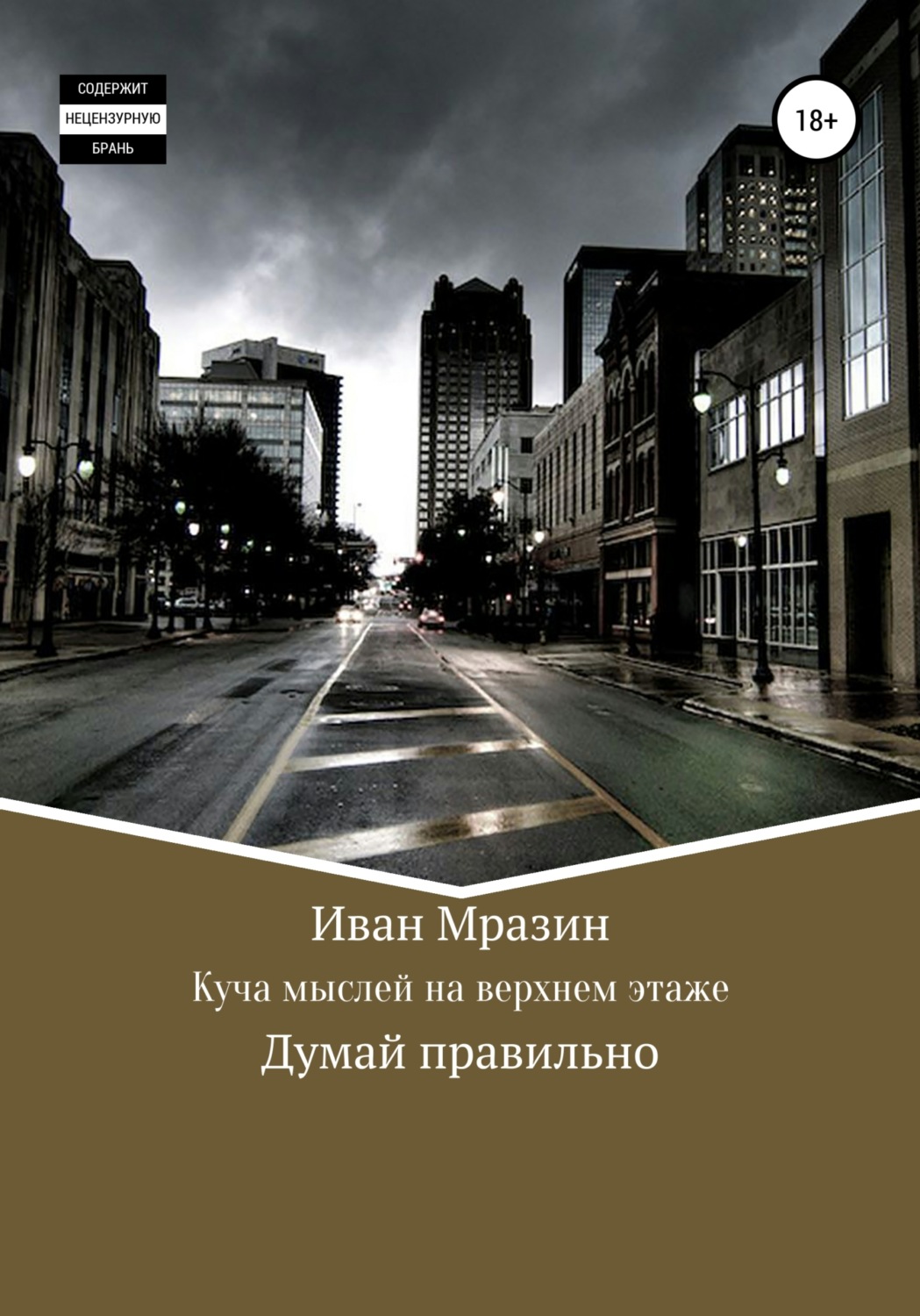 Обложка книги «Куча мыслей на верхнем этаже»