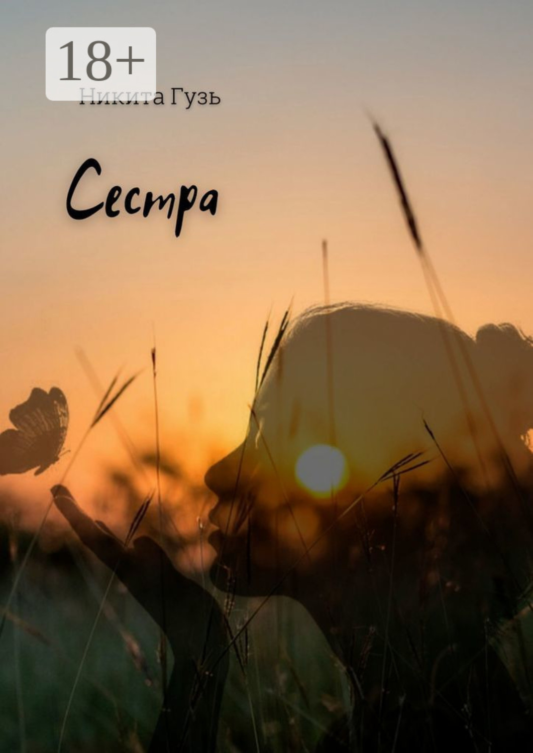 Обложка книги «Сестра»