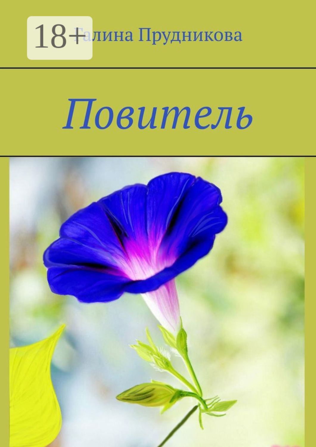 Обложка книги «Повитель»