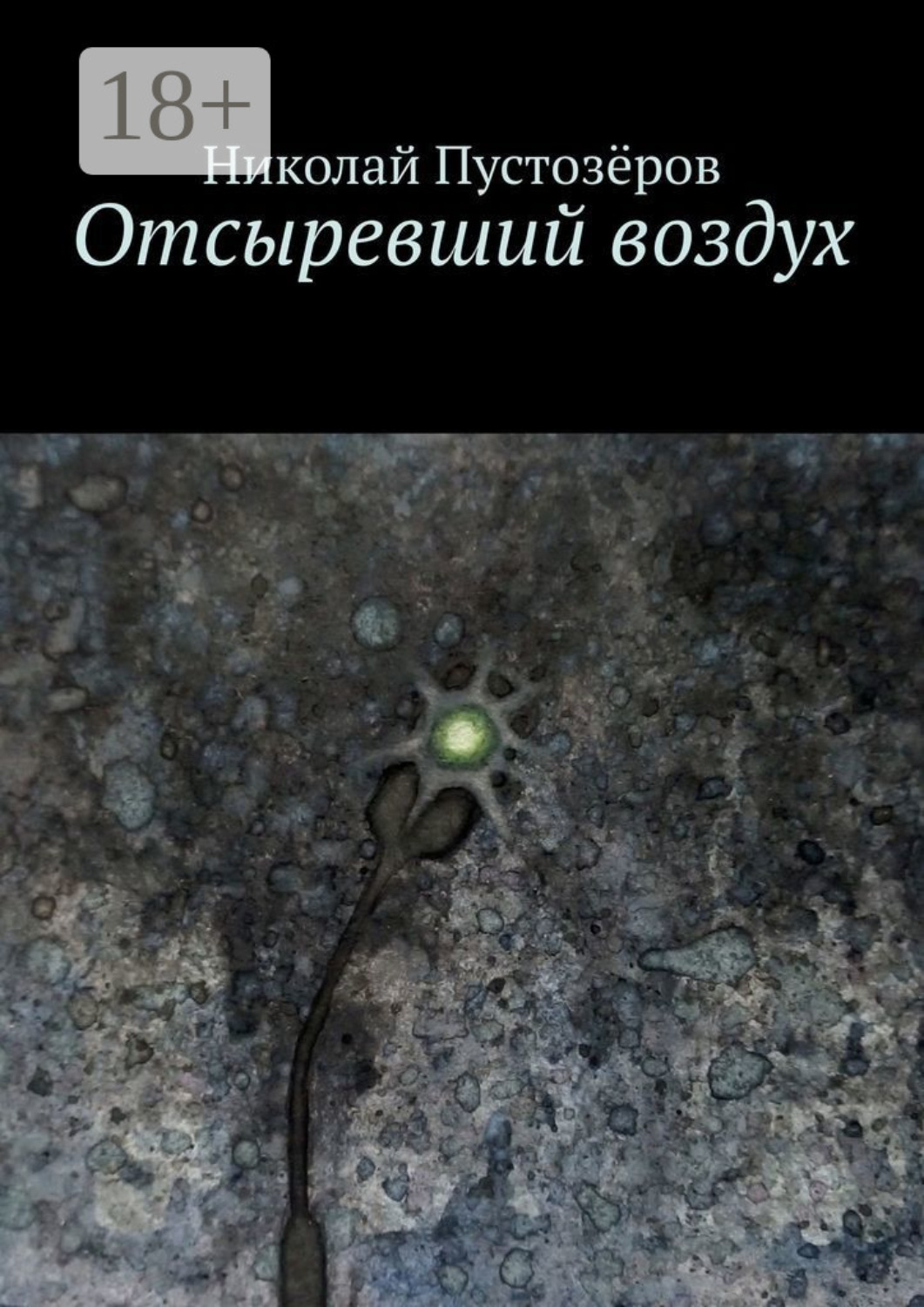Обложка книги «Отсыревший воздух»