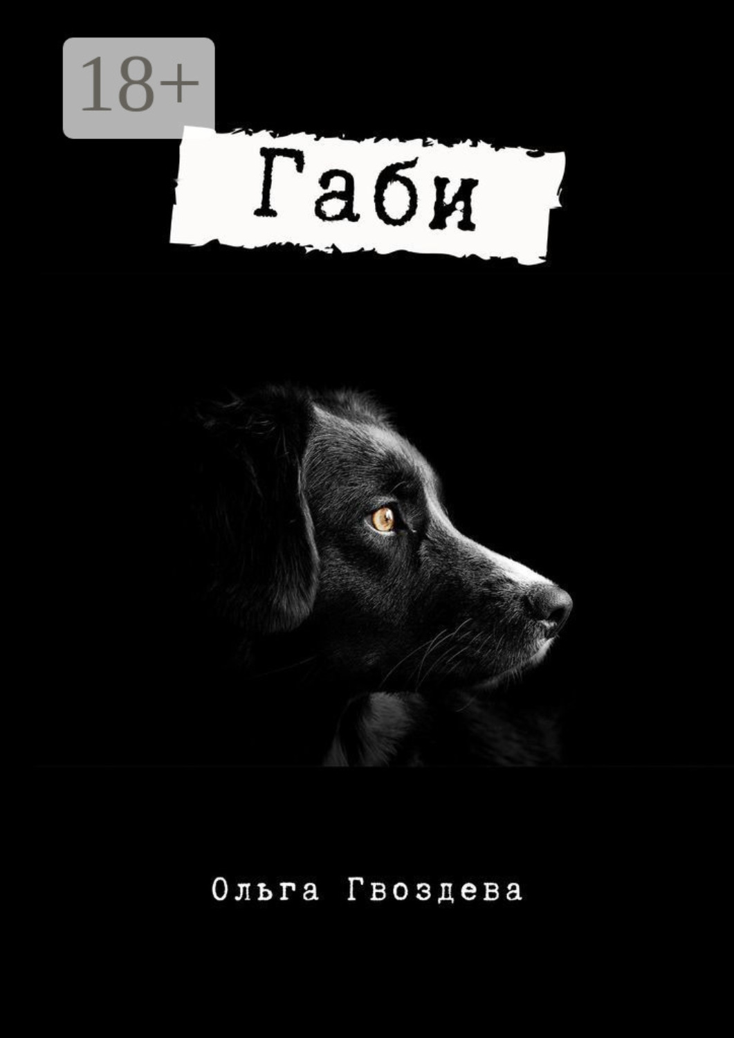 Обложка книги «Габи»