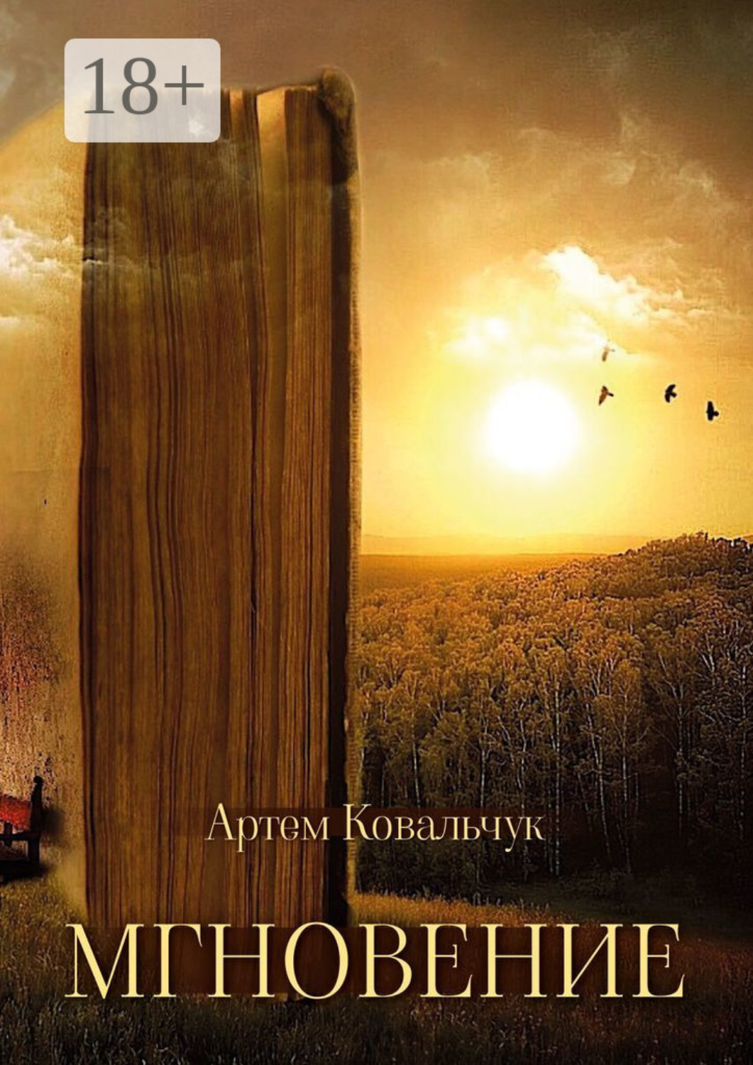 Обложка книги «Мгновение»