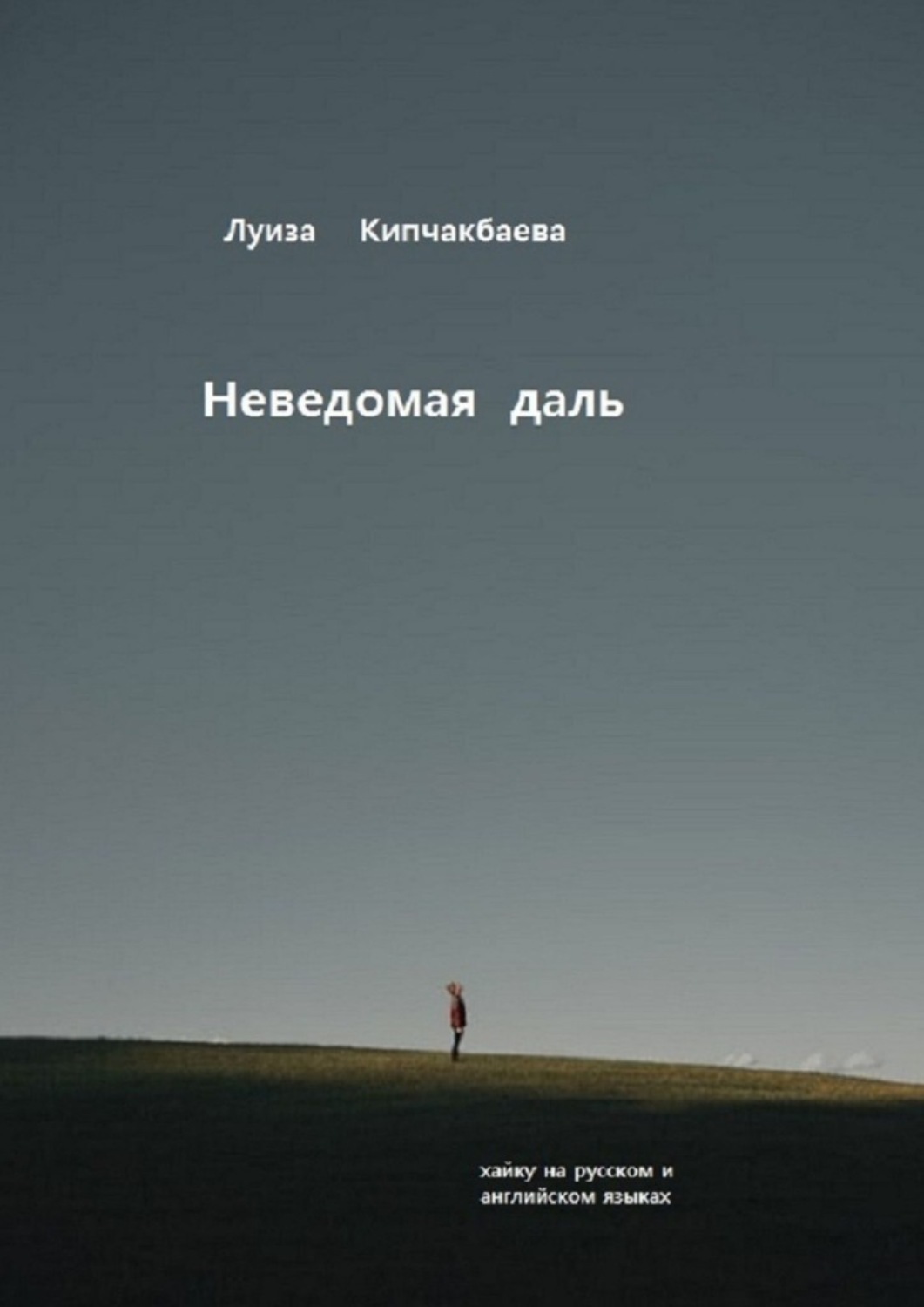 Обложка книги «Неведомая даль»