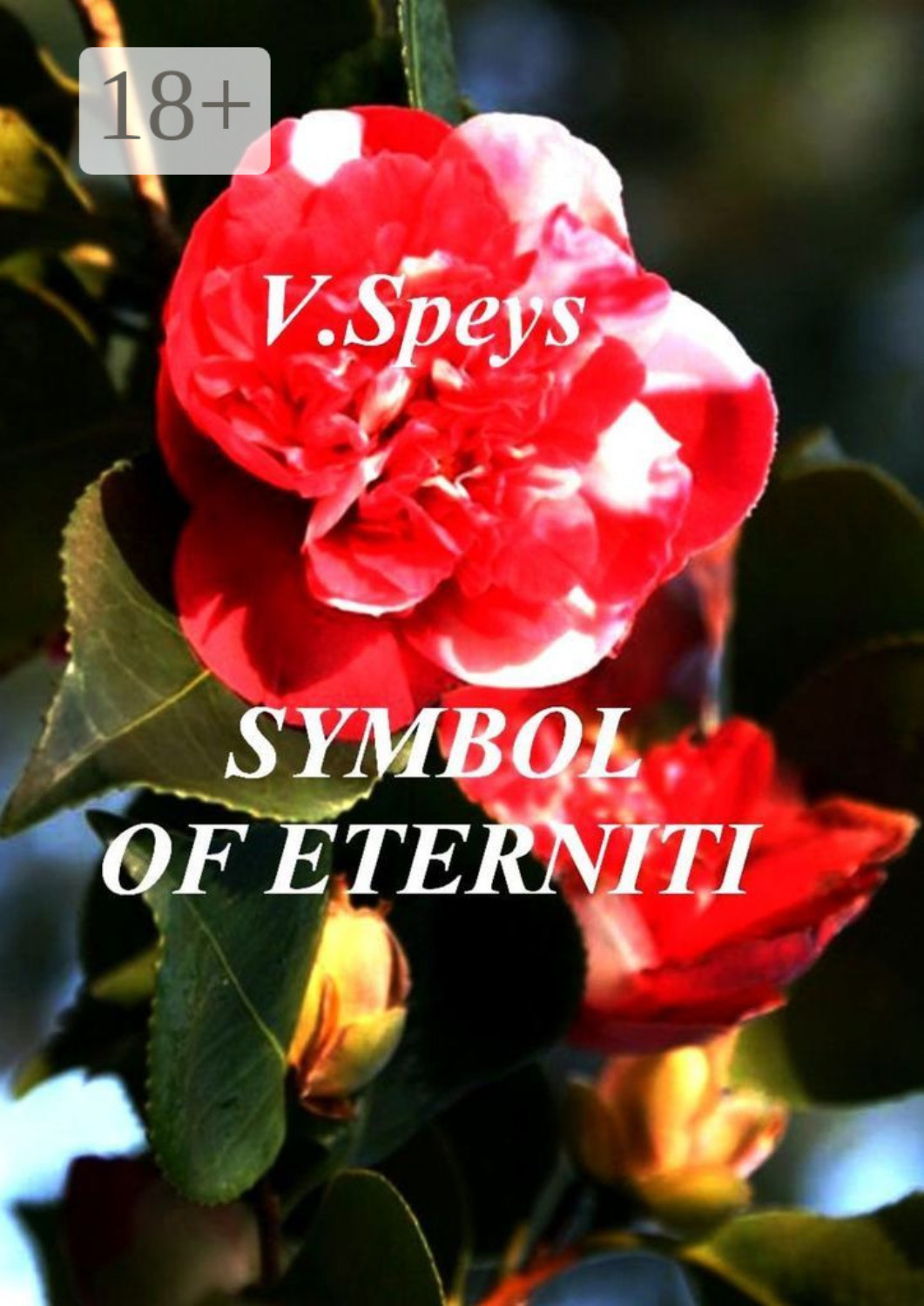 Обложка книги «Symbol of eternity»