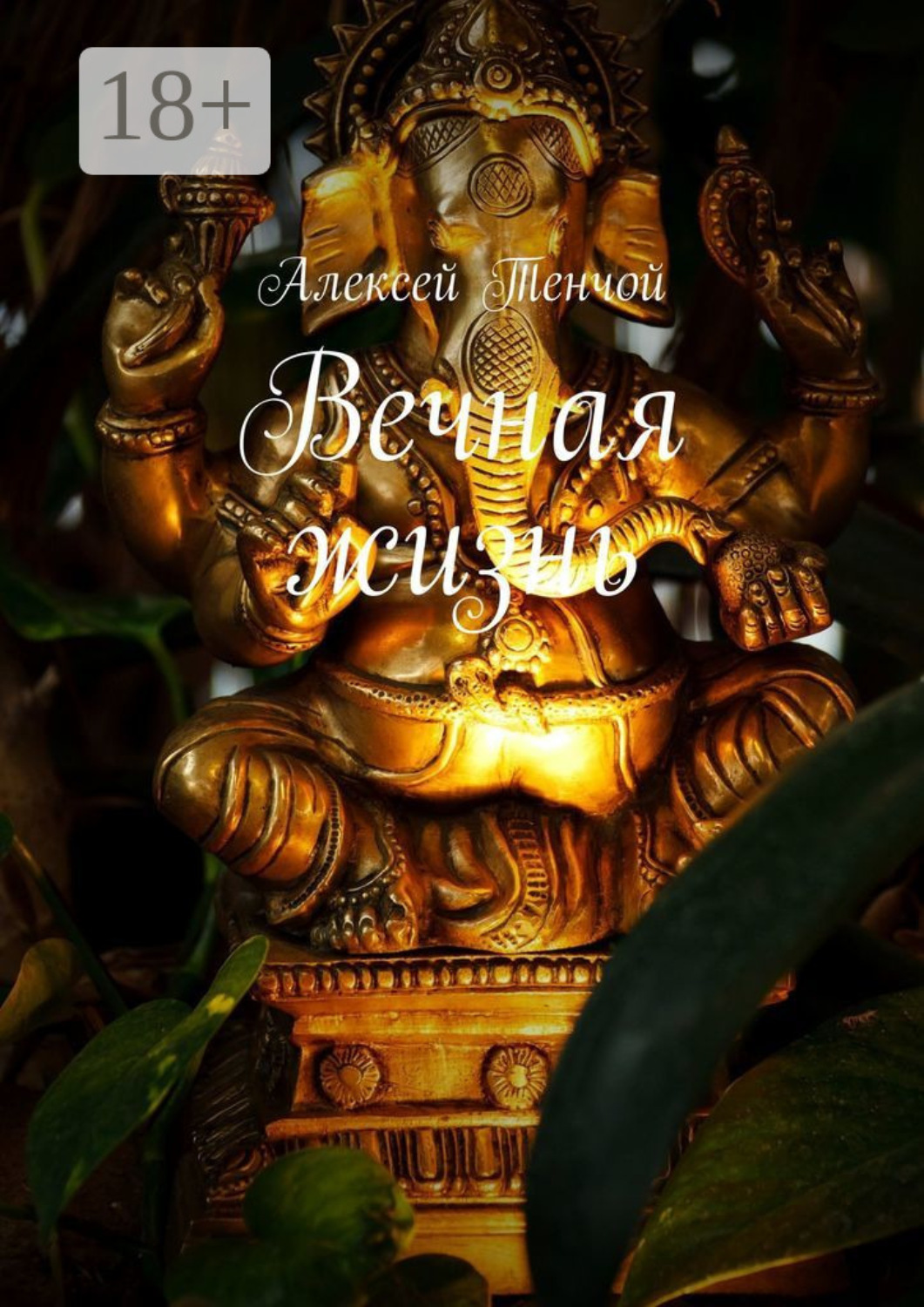 Обложка книги «Вечная жизнь»