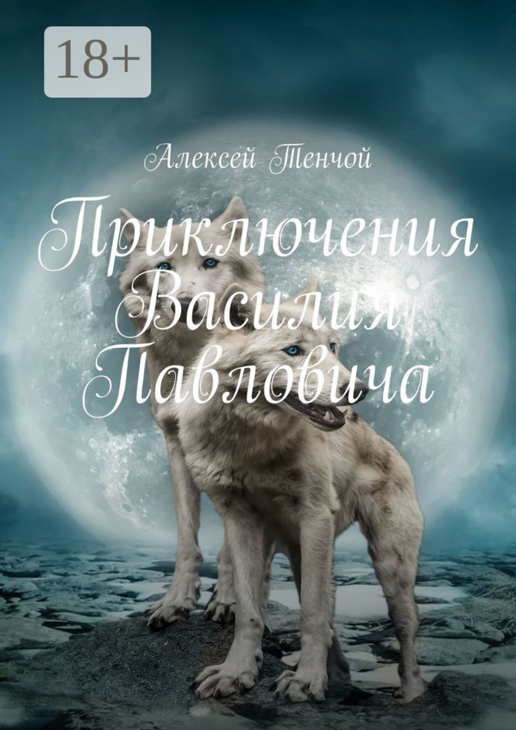 Обложка книги «Приключения Василия Павловича»