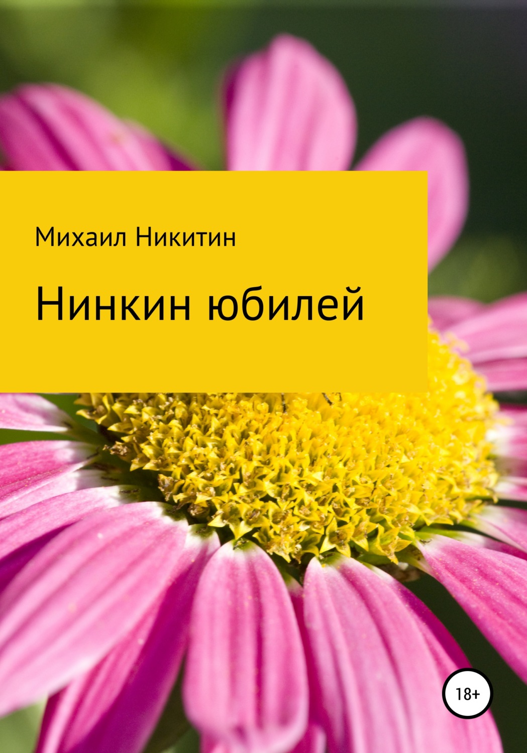 Обложка книги «Нинкин юбилей»