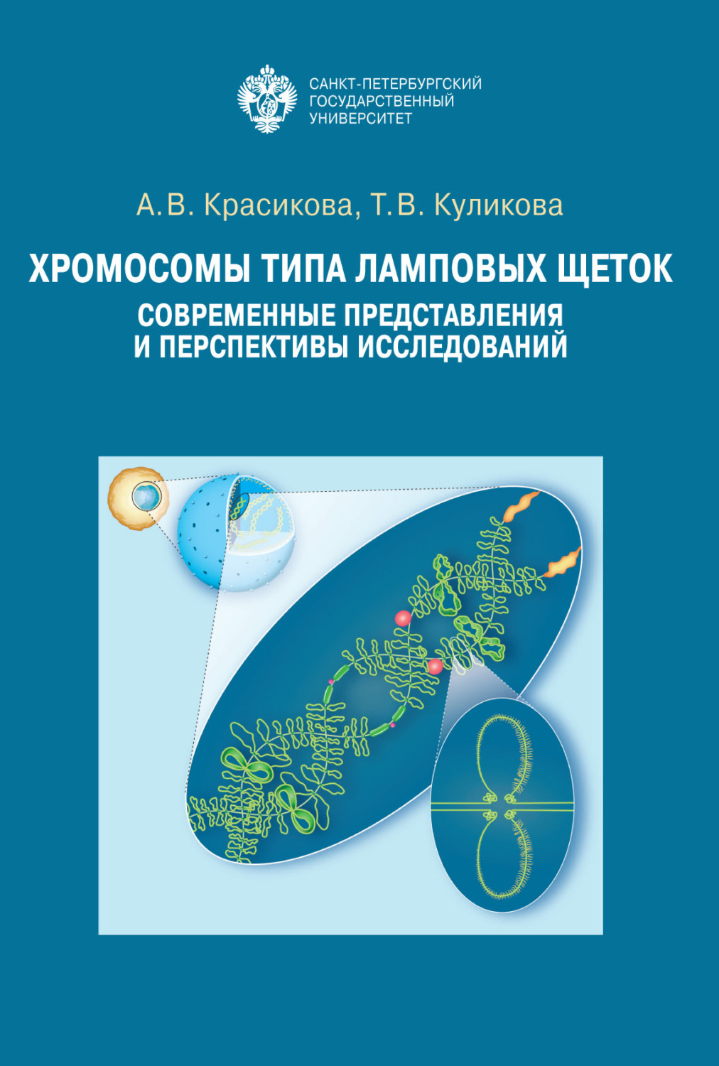 Обложка книги «Хромосомы типа ламповых щеток. Современные представления и перспективы исследований»