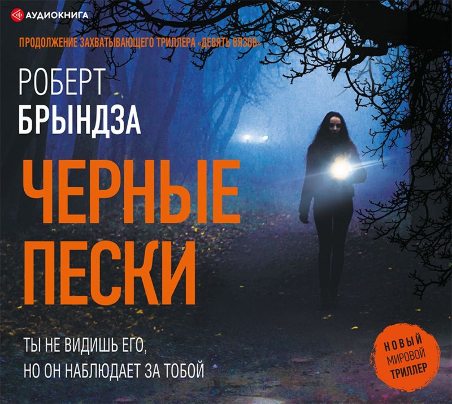 Обложка книги «Черные пески»