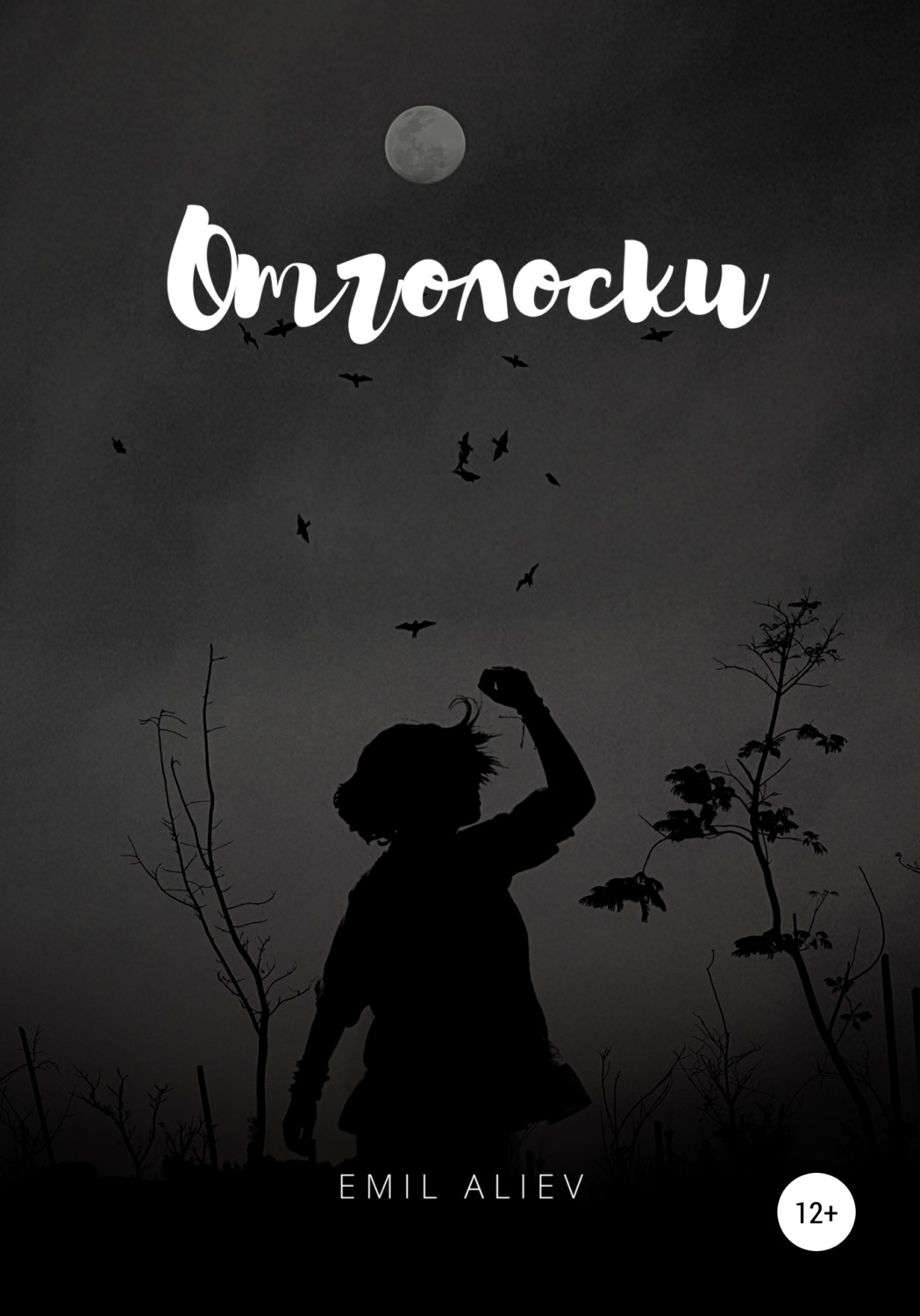 Обложка книги «Отголоски»