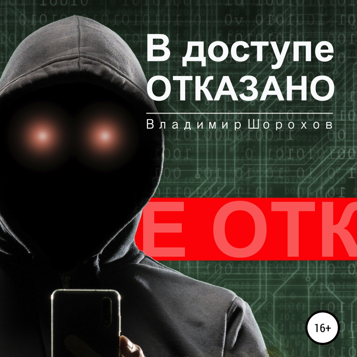 Обложка книги «В доступе отказано»