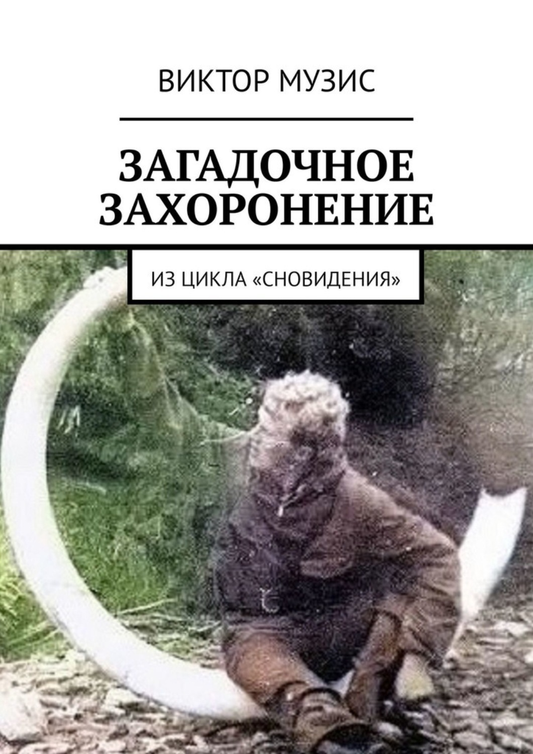 Обложка книги «Загадочное захоронение. Из цикла «Сновидения»»