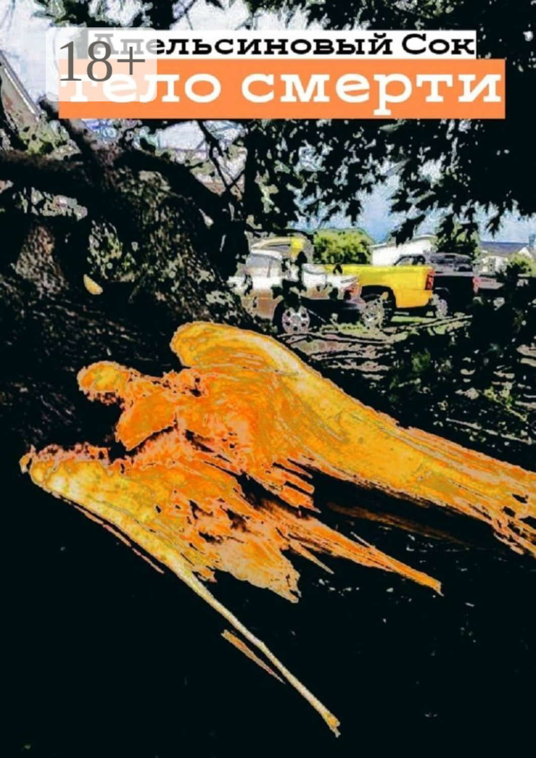 Обложка книги «Тело смерти»