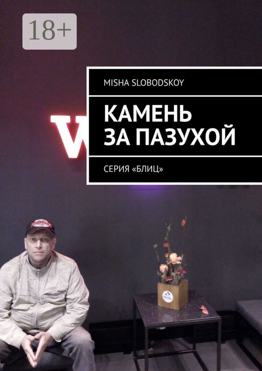 Обложка книги «Камень за пазухой. Серия «Блиц»»
