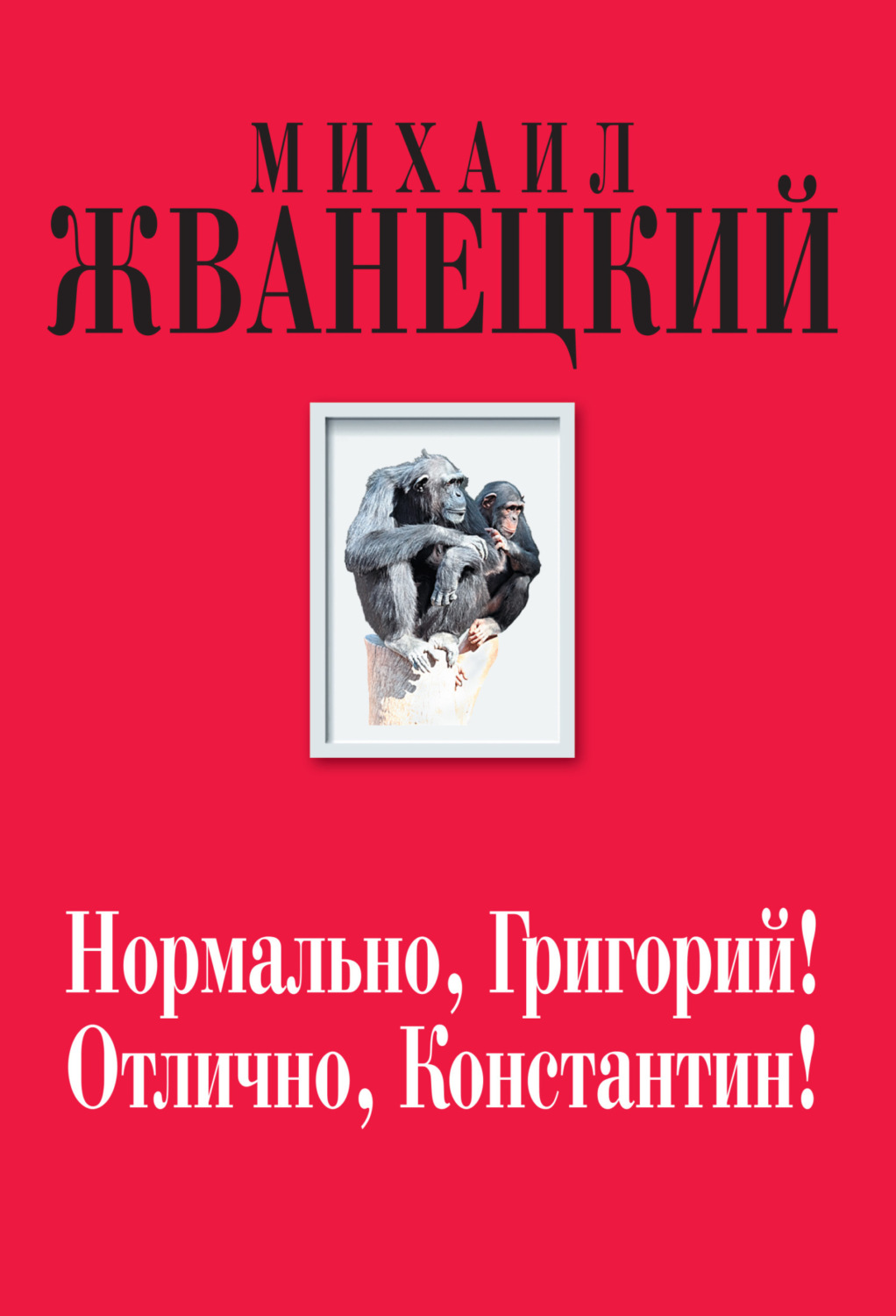 Обложка книги «Нормально, Григорий! Отлично, Константин!»
