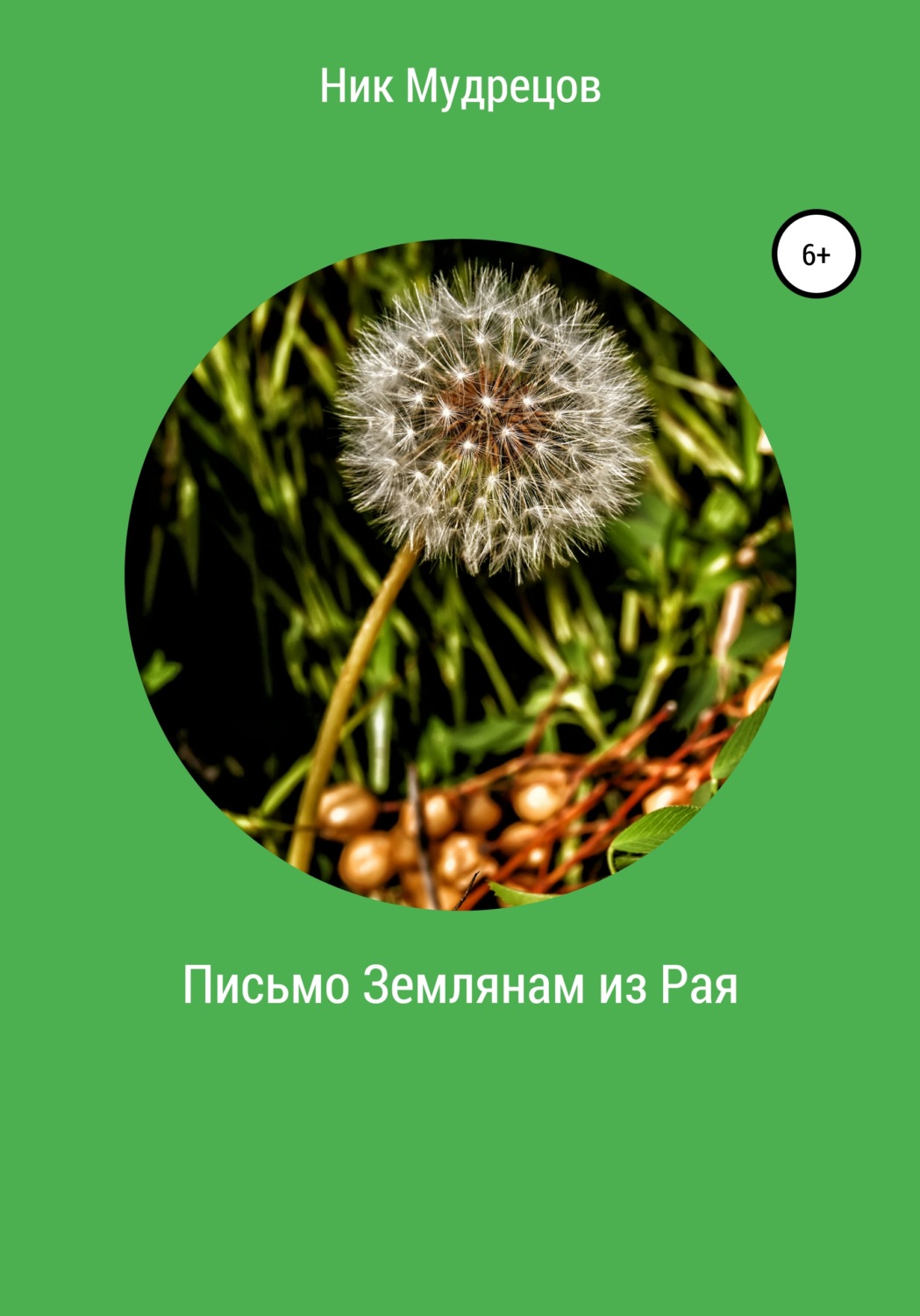 Обложка книги «Письмо землянам из Рая»
