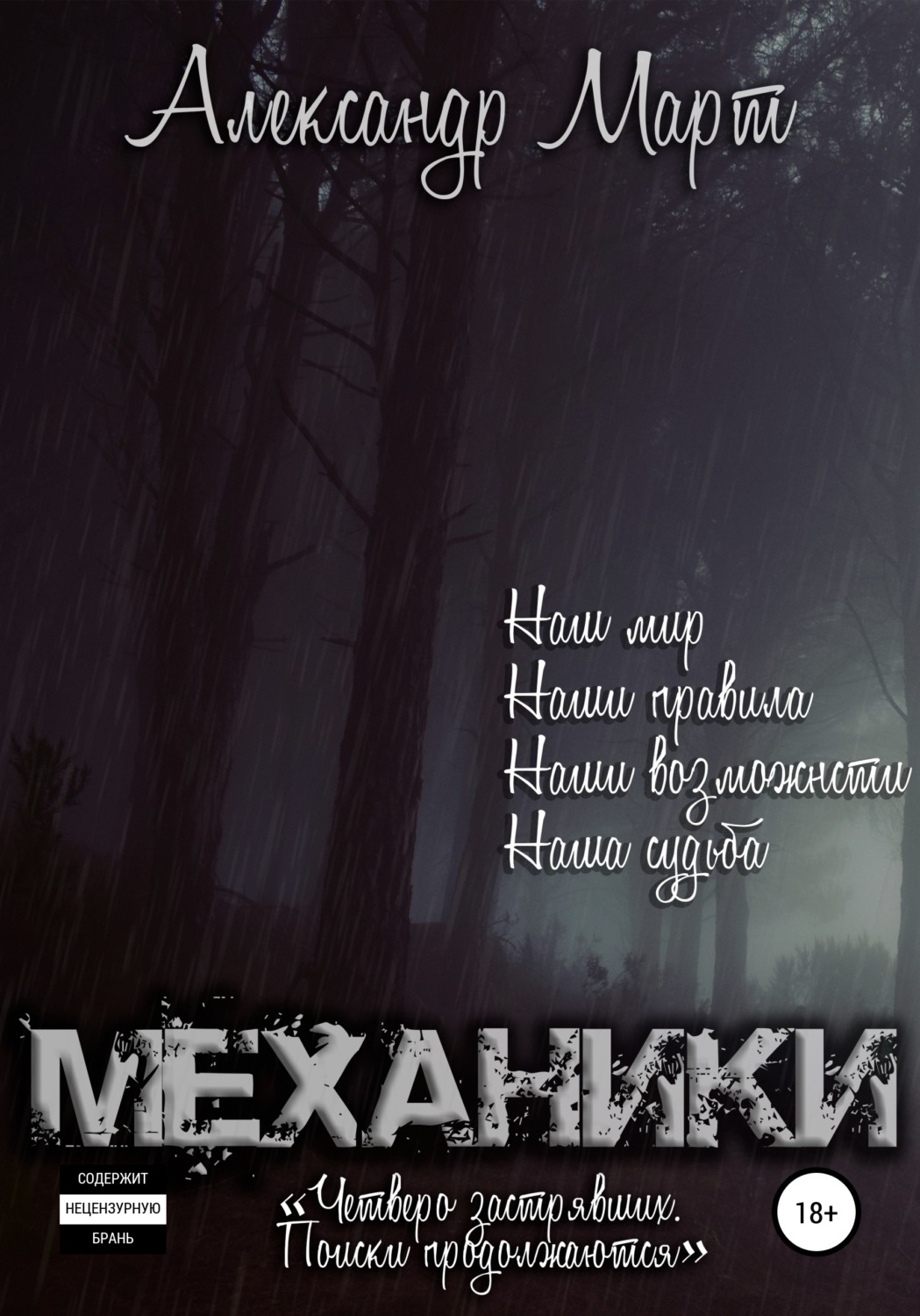 Обложка книги «Механики. Четверо застрявших. Поиски продолжаются»