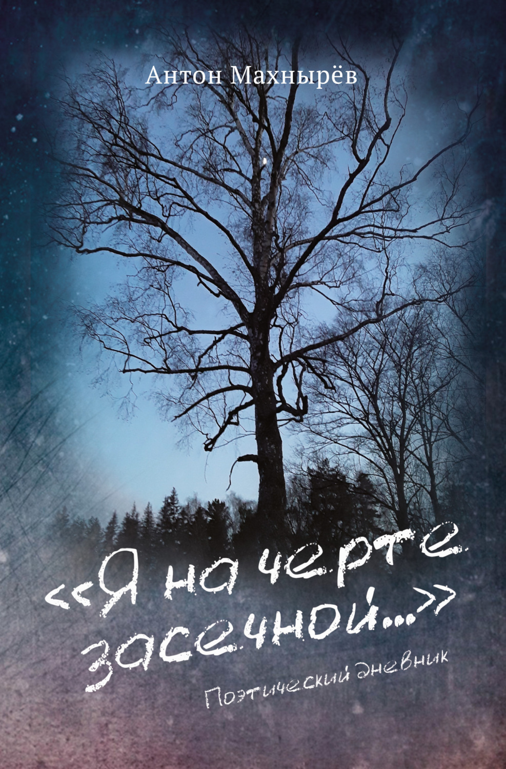 Обложка книги ««Я на черте засечной…»»