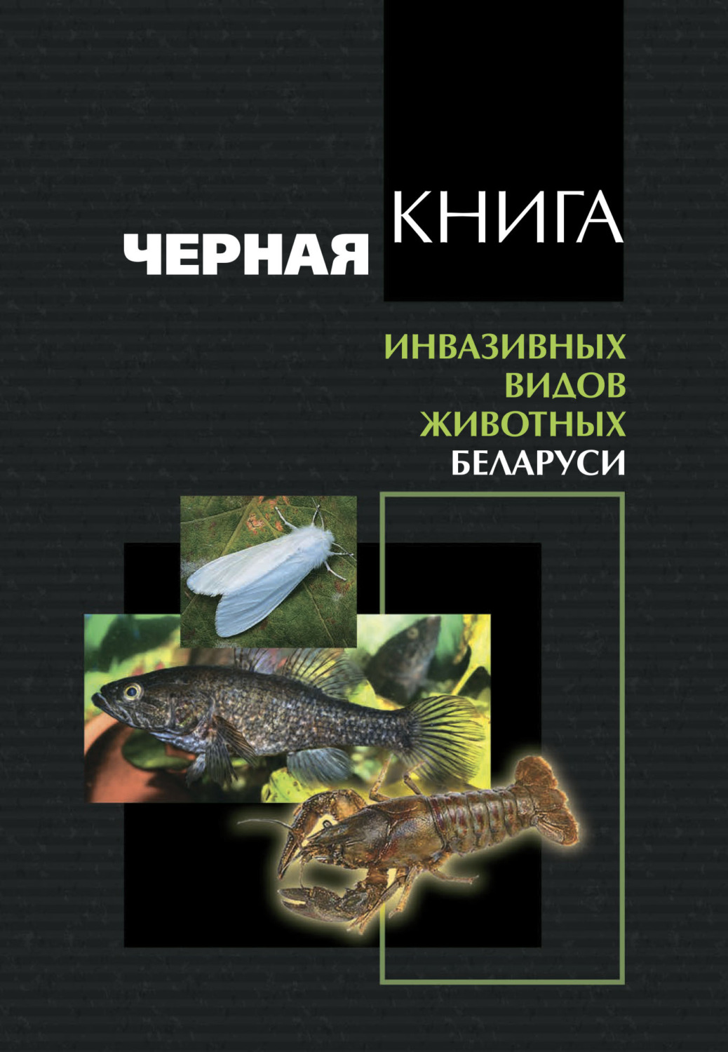 Обложка книги «Черная книга инвазивных видов животных Беларуси»