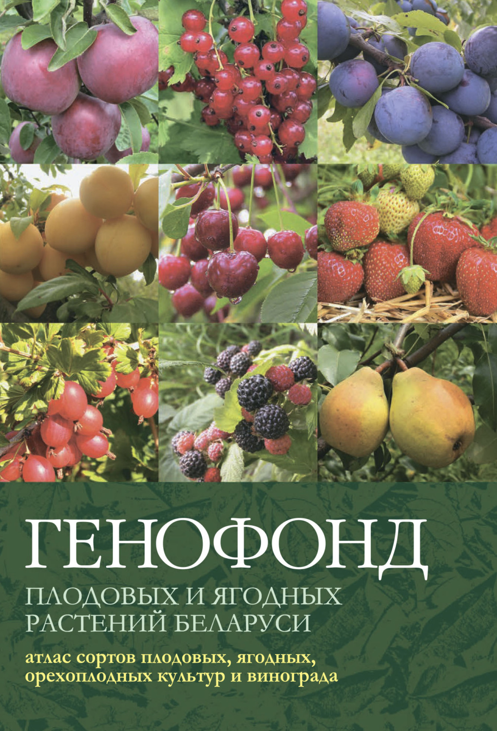 Обложка книги «Генофонд плодовых и ягодных растений Беларуси: атлас сортов плодовых, ягодных, орехоплодных культур и винограда»