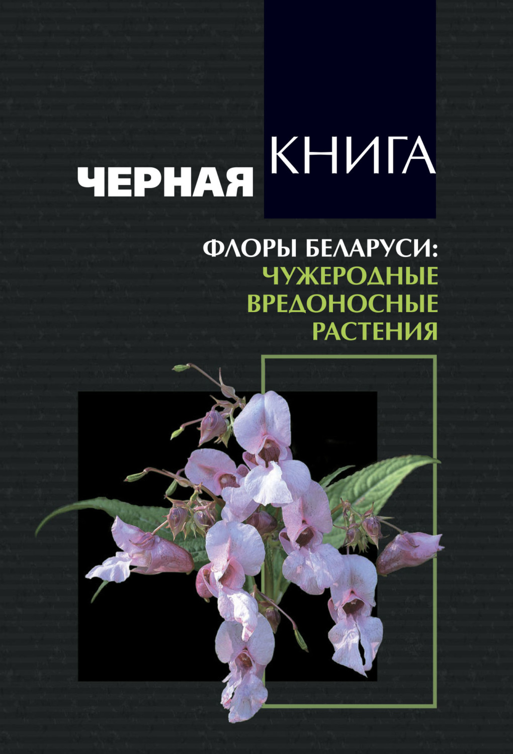 Обложка книги «Черная книга флоры Беларуси. Чужеродные вредоносные растения»