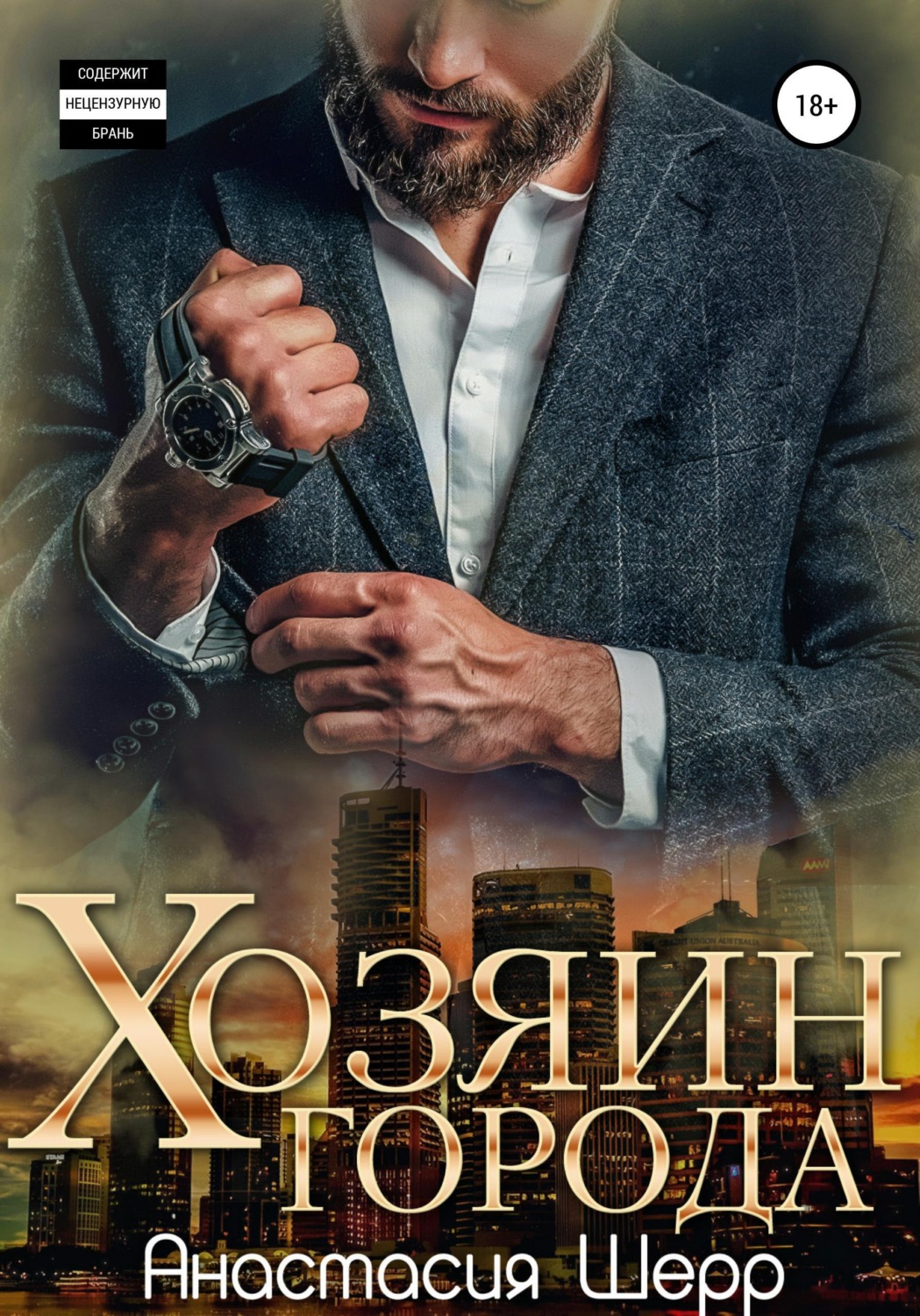 Обложка книги «Хозяин города»
