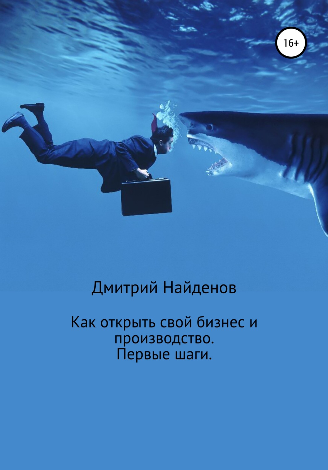 Обложка книги «Как открыть свой бизнес и производство. Первые шаги»
