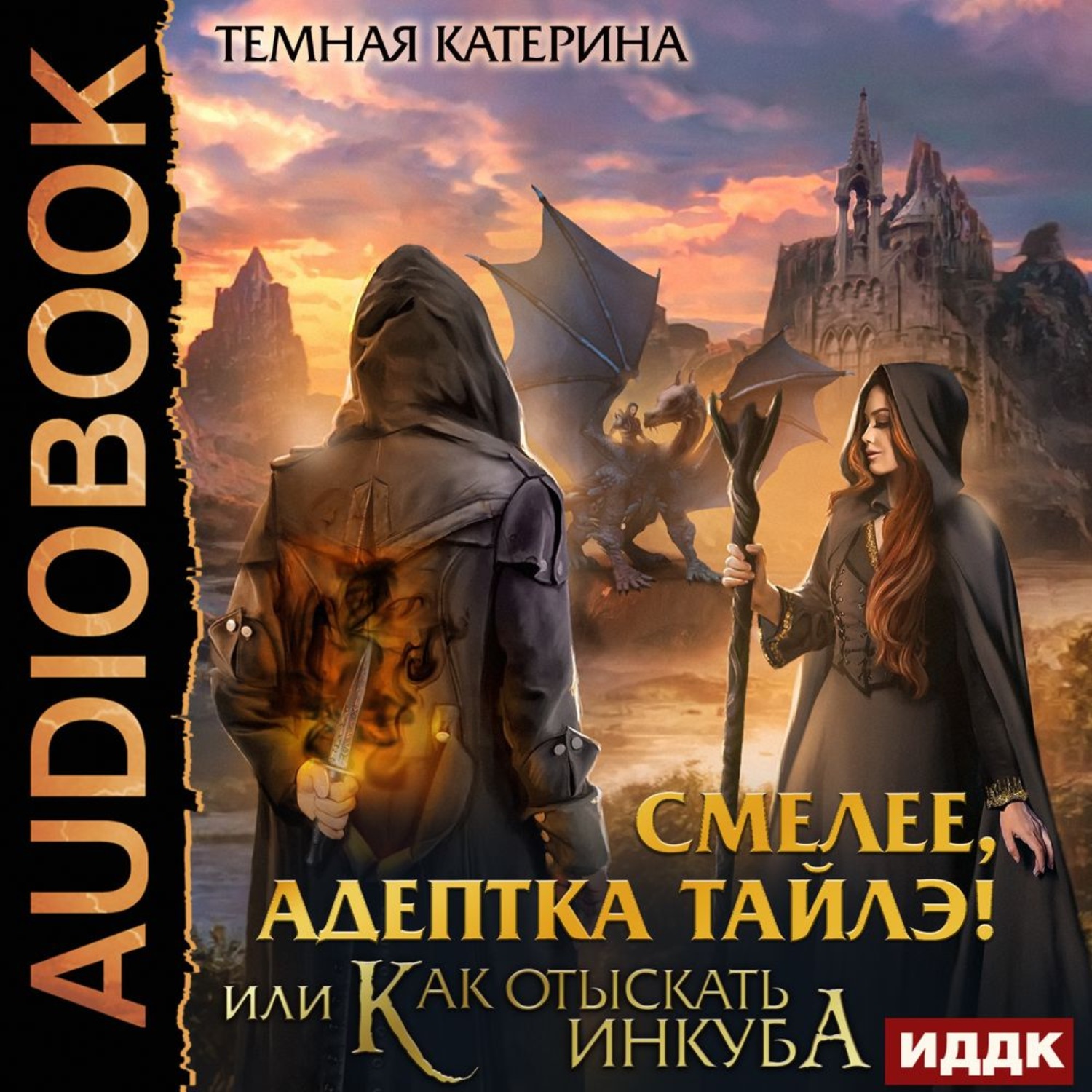 Обложка книги «Смелее, адептка Тайлэ! или Как отыскать инкуба»
