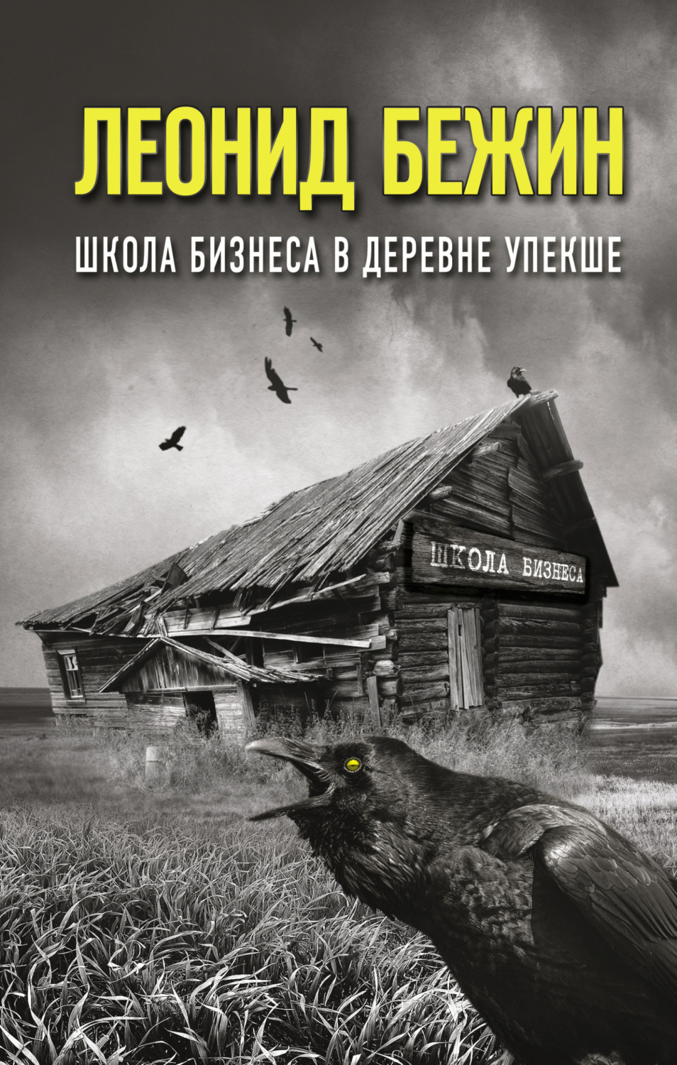 Обложка книги «Школа бизнеса в деревне Упекше»