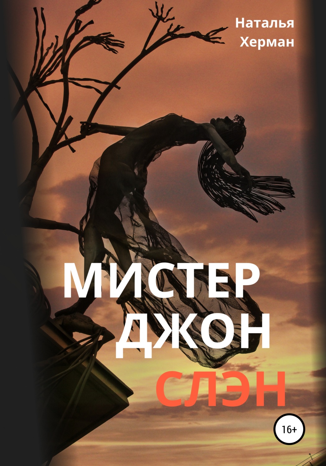 Обложка книги «Мистер Джон Слэн»