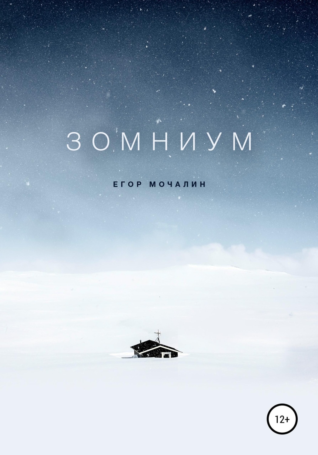 Обложка книги «Зомниум»