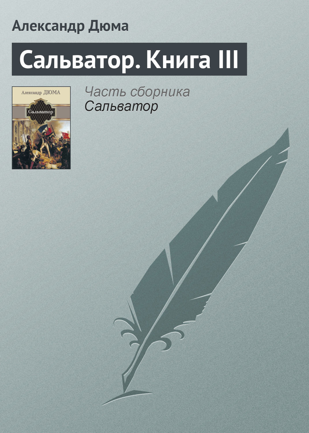 Обложка книги «Сальватор. Книга III»