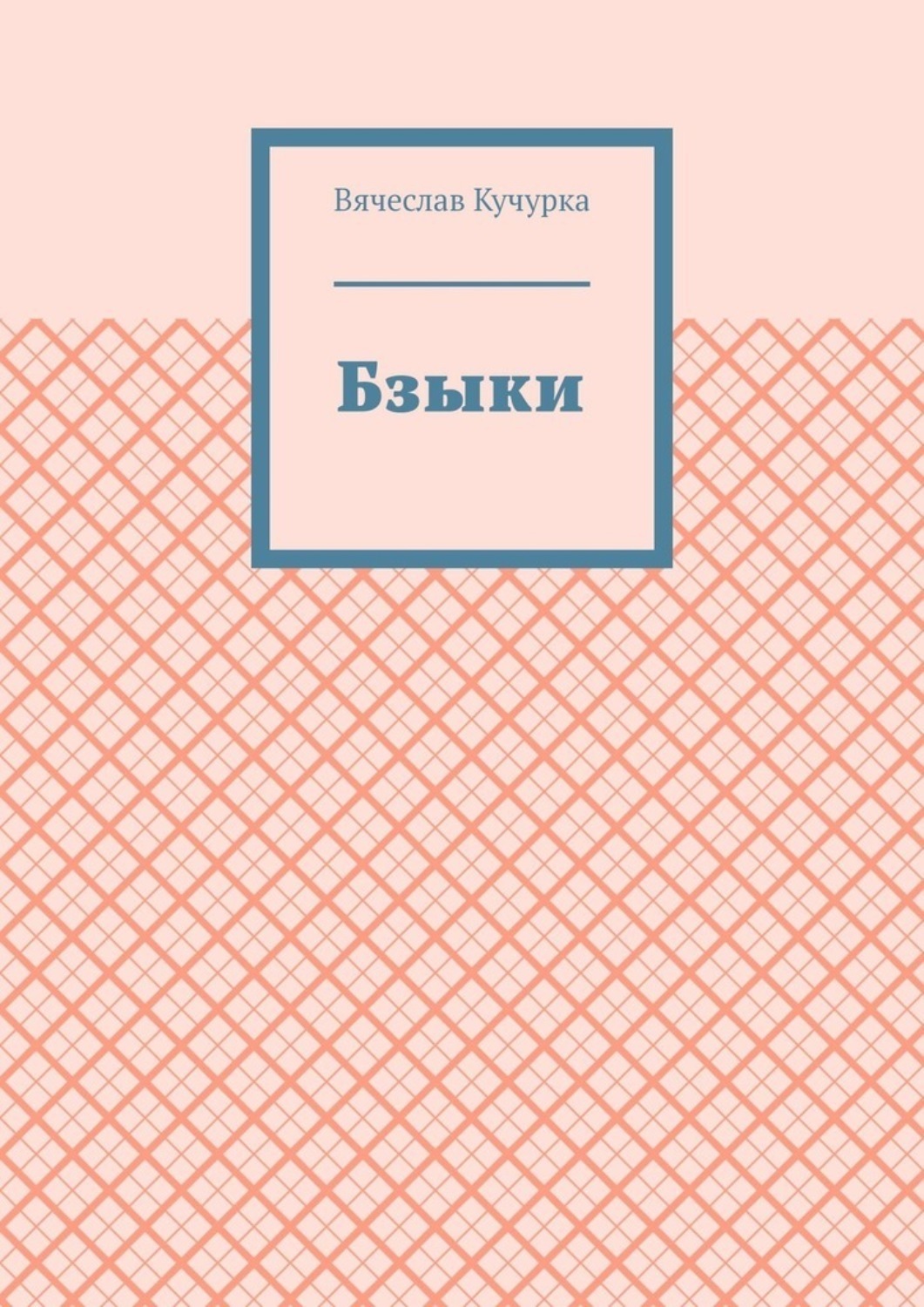 Обложка книги «Бзыки»