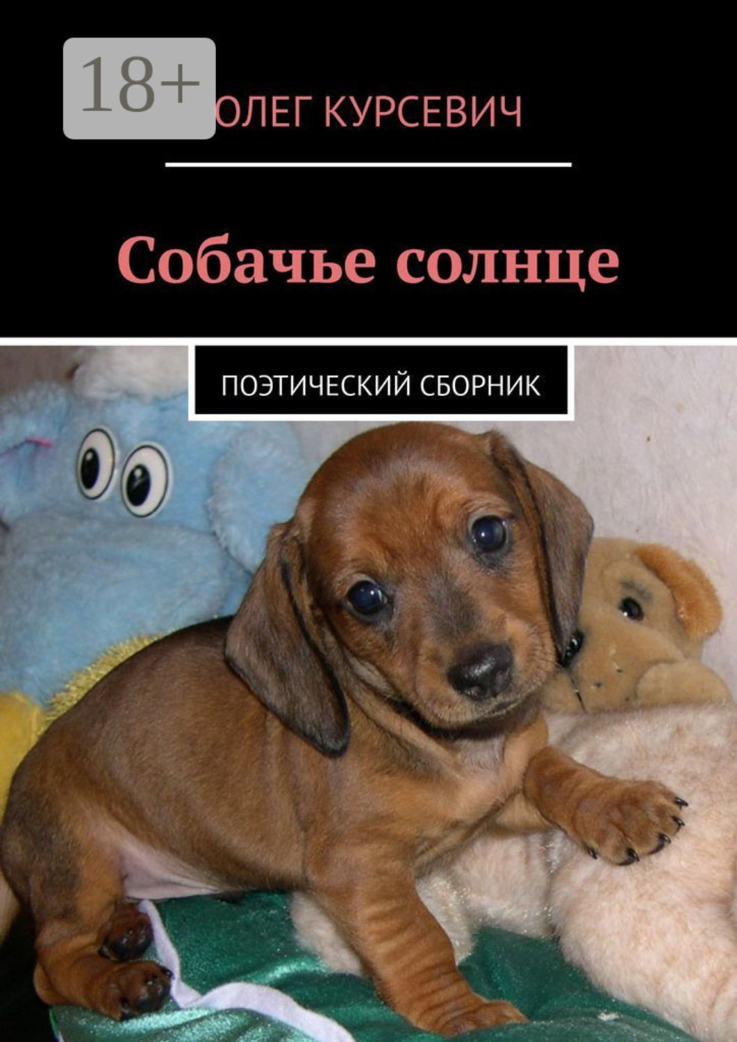 Обложка книги «Собачье солнце. Поэтический сборник»
