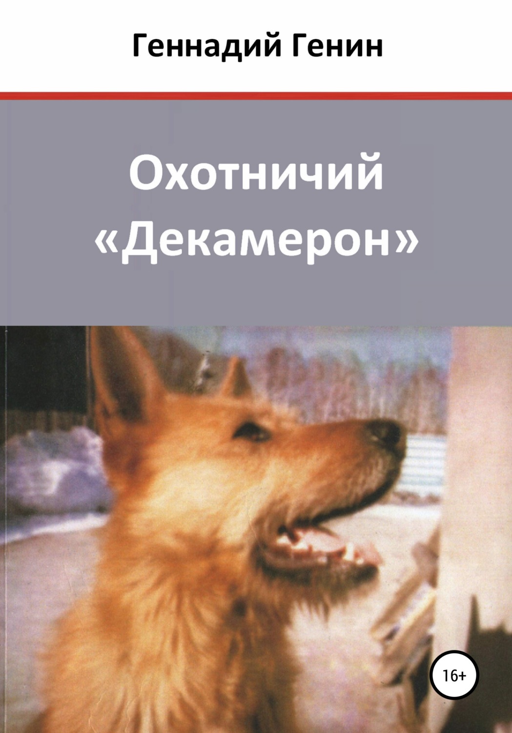Обложка книги «Охотничий «Декамерон»»